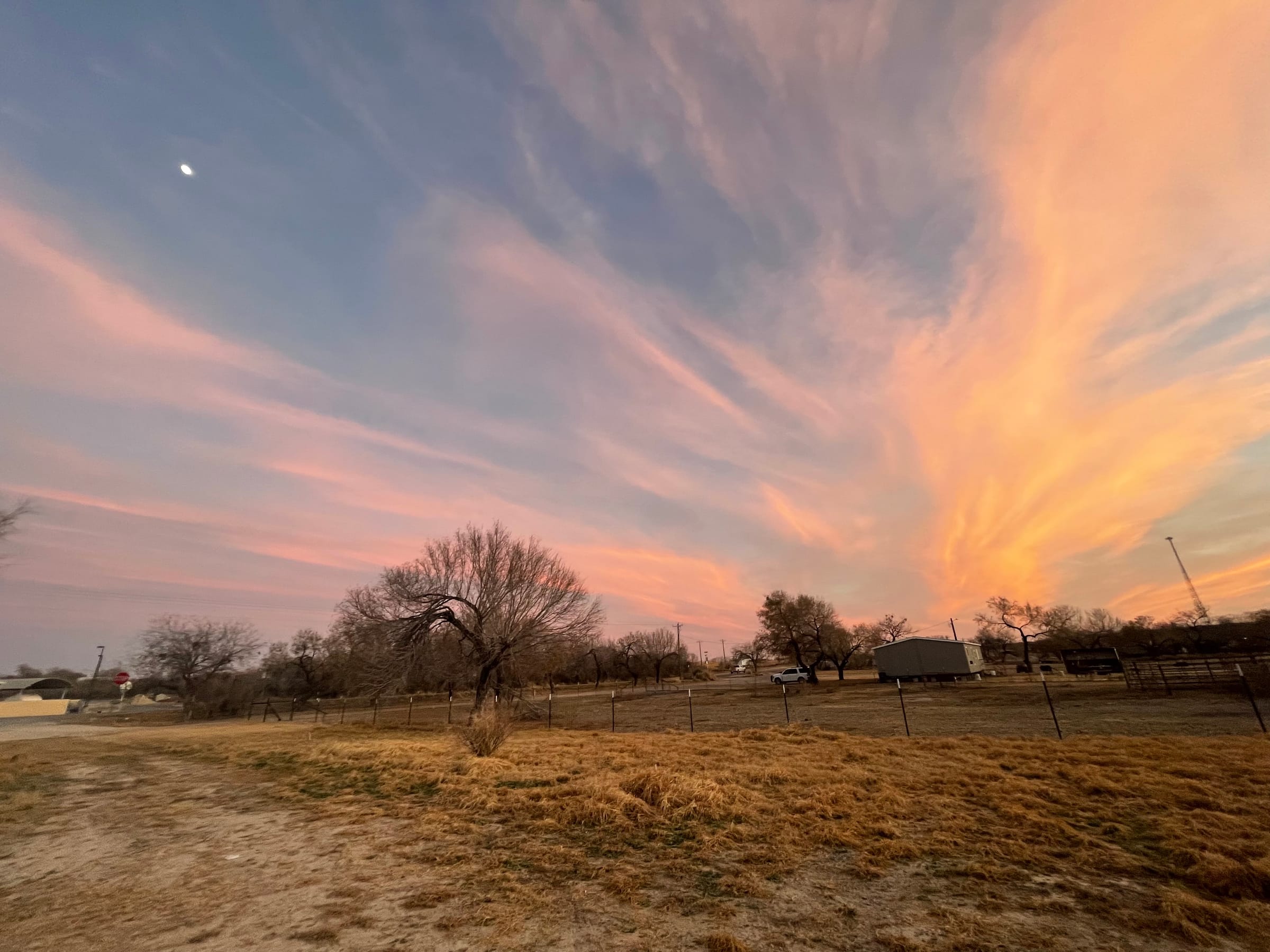 evening · golden hour